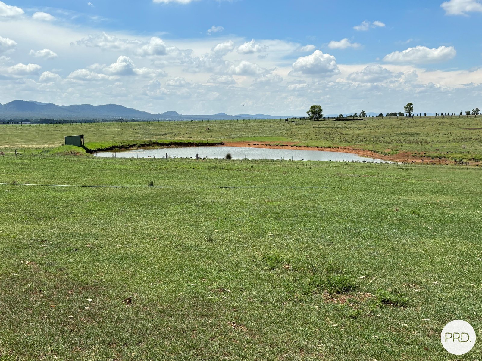 470 Dalswinton Road DENMAN 6