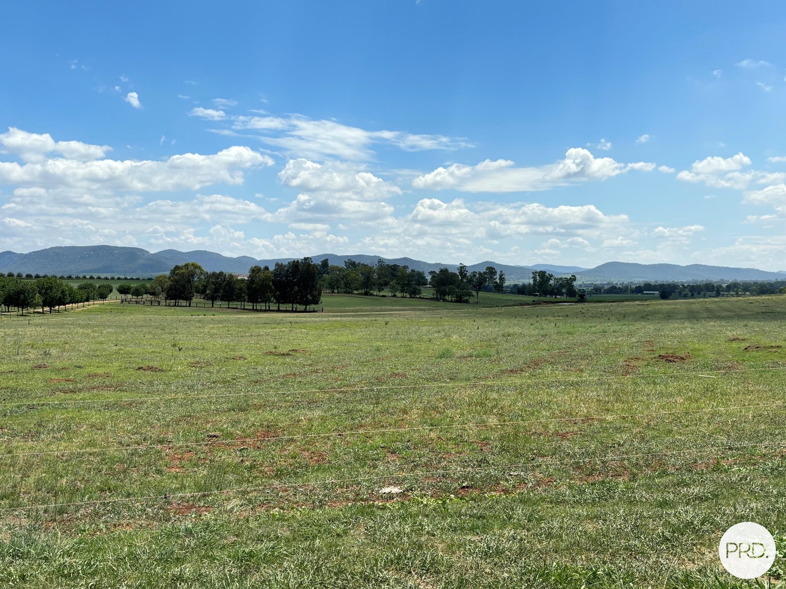 470 Dalswinton Road DENMAN 7