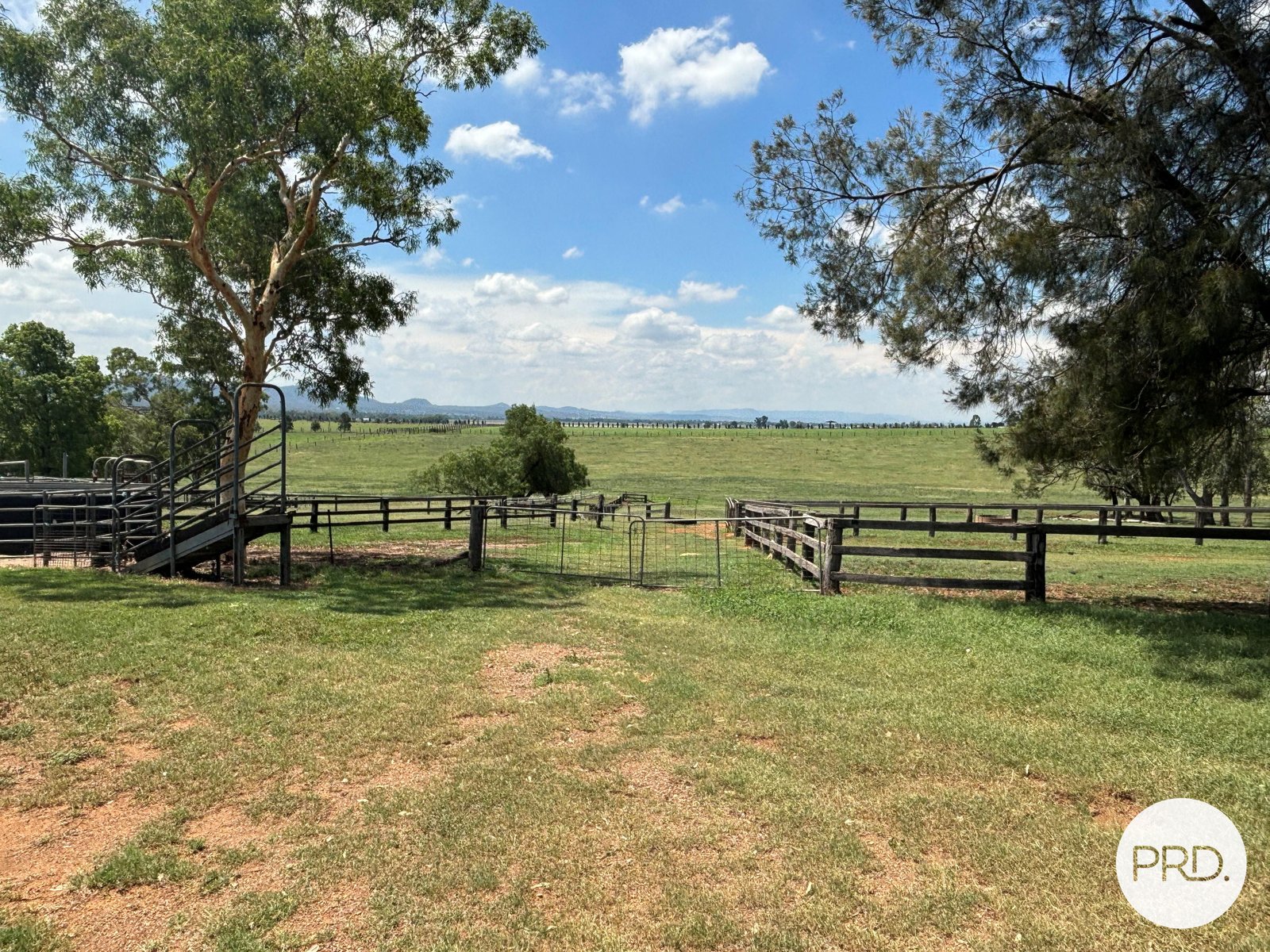 470 Dalswinton Road DENMAN 14