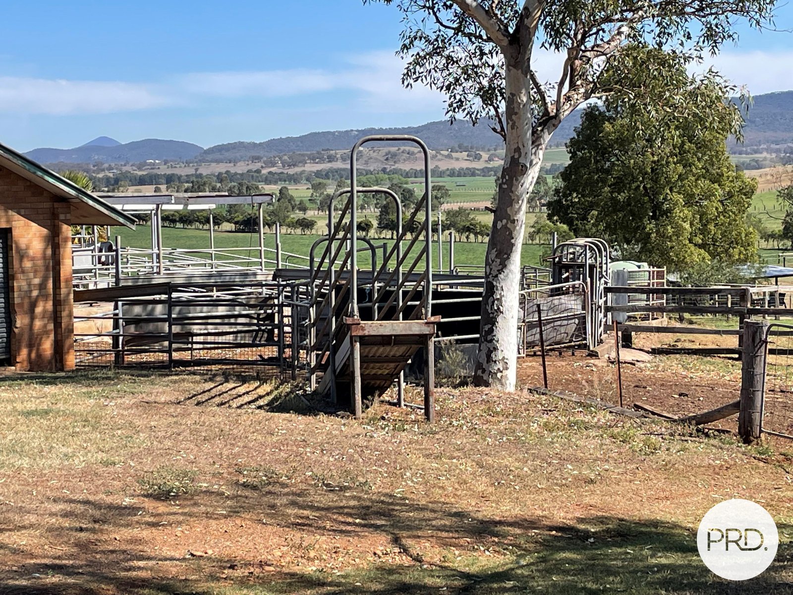 470 Dalswinton Road DENMAN 15