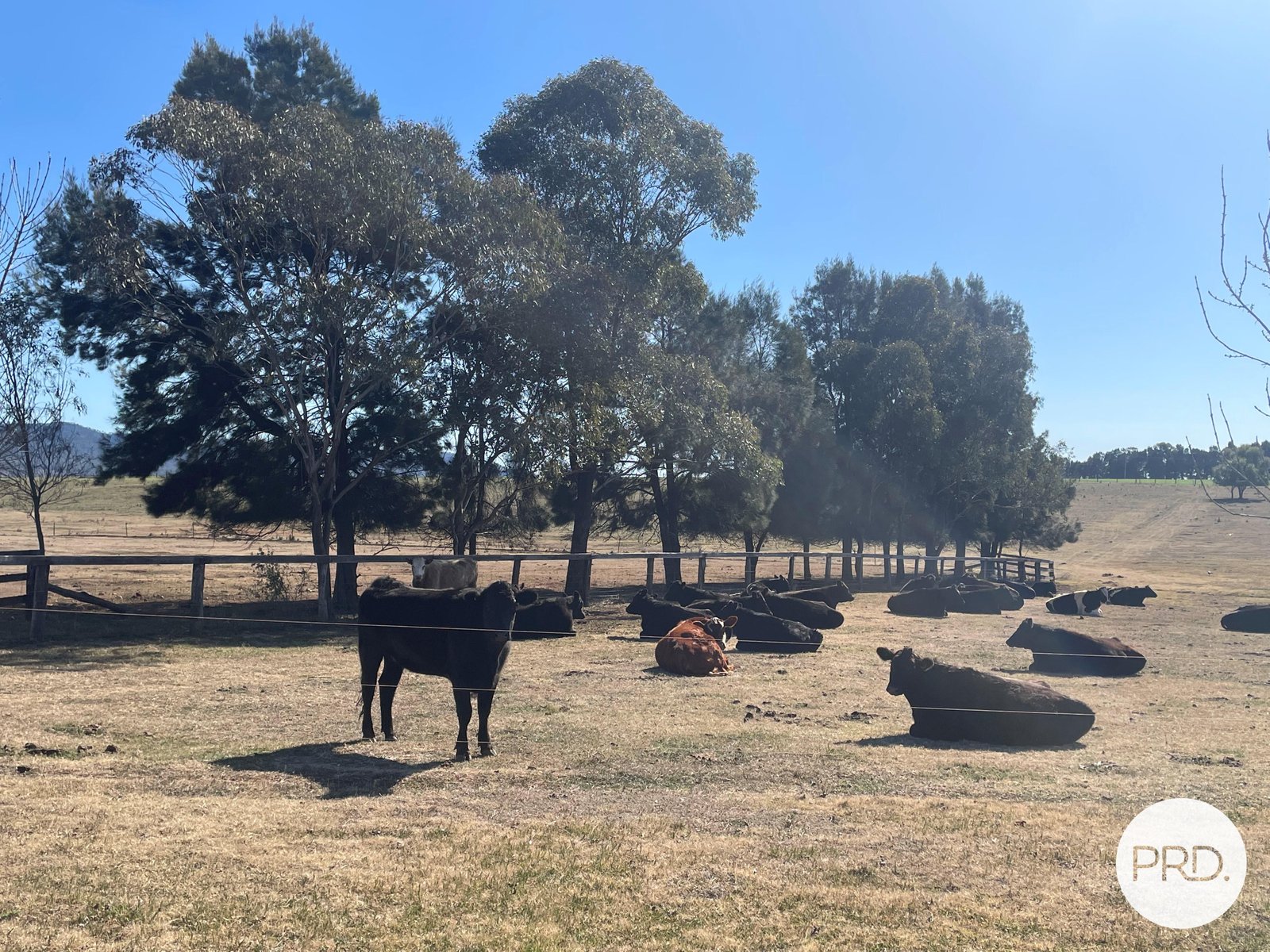 470 Dalswinton Road DENMAN 17