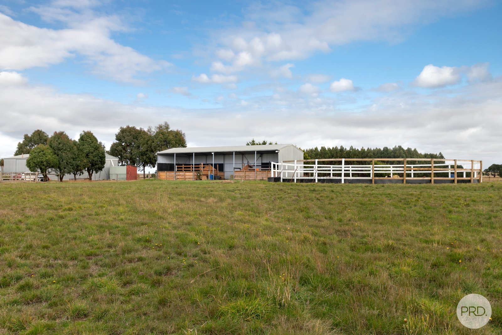 474 Racecourse Road HADDON 6