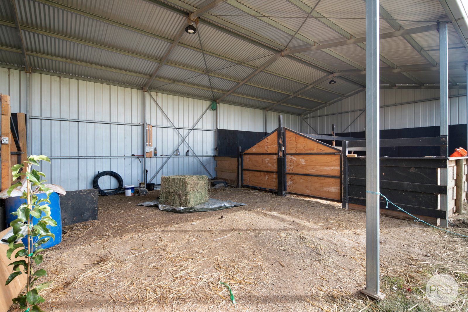 474 Racecourse Road HADDON 10