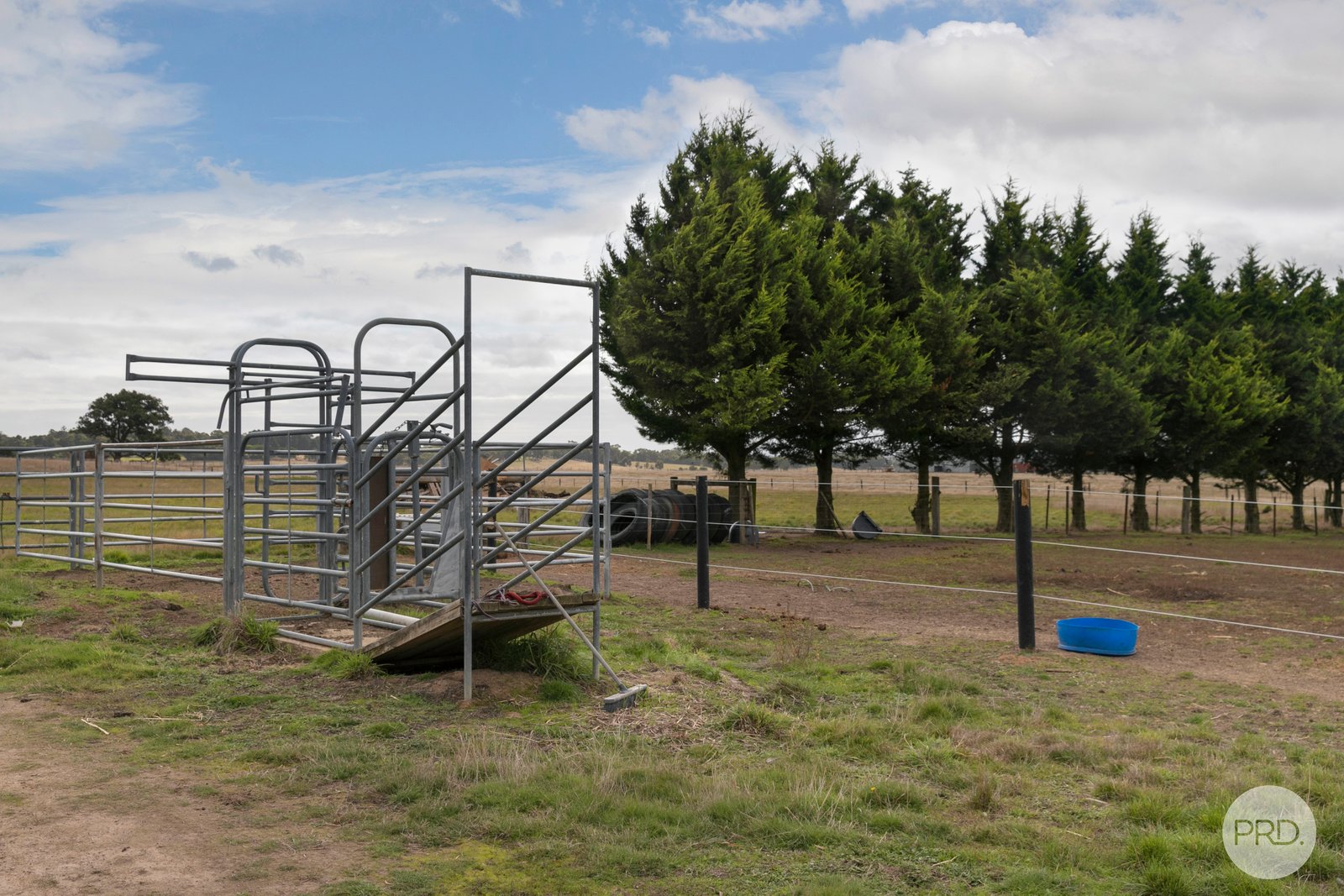 474 Racecourse Road HADDON 11