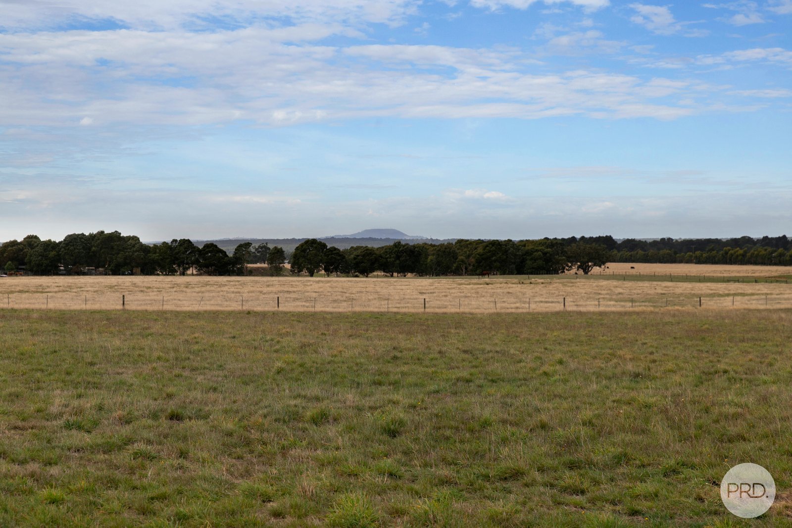 474 Racecourse Road HADDON 12