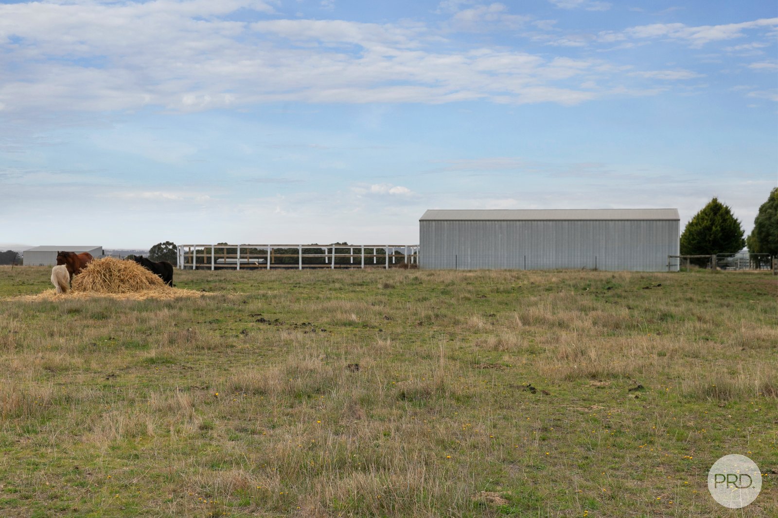 474 Racecourse Road HADDON 14