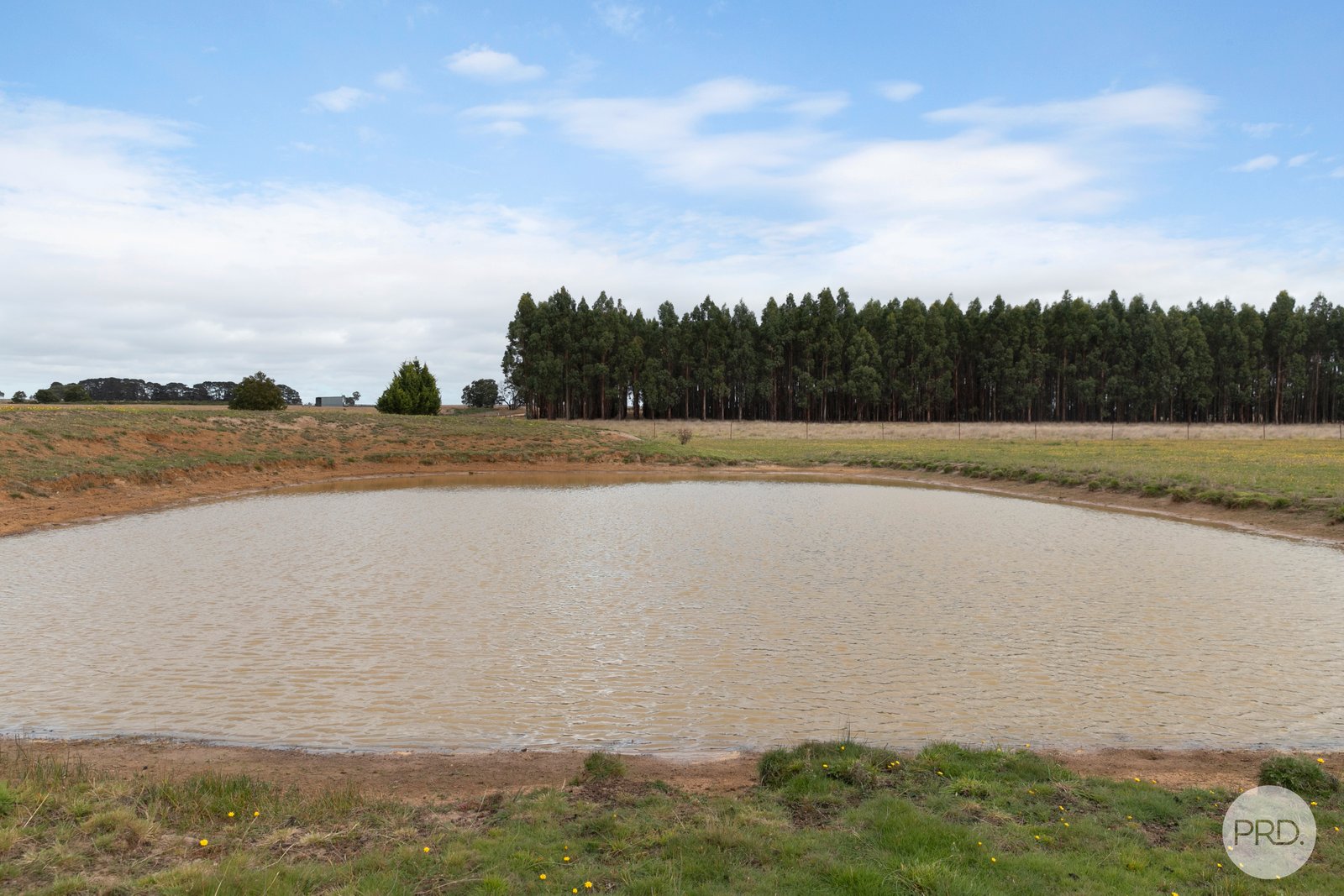 474 Racecourse Road HADDON 15