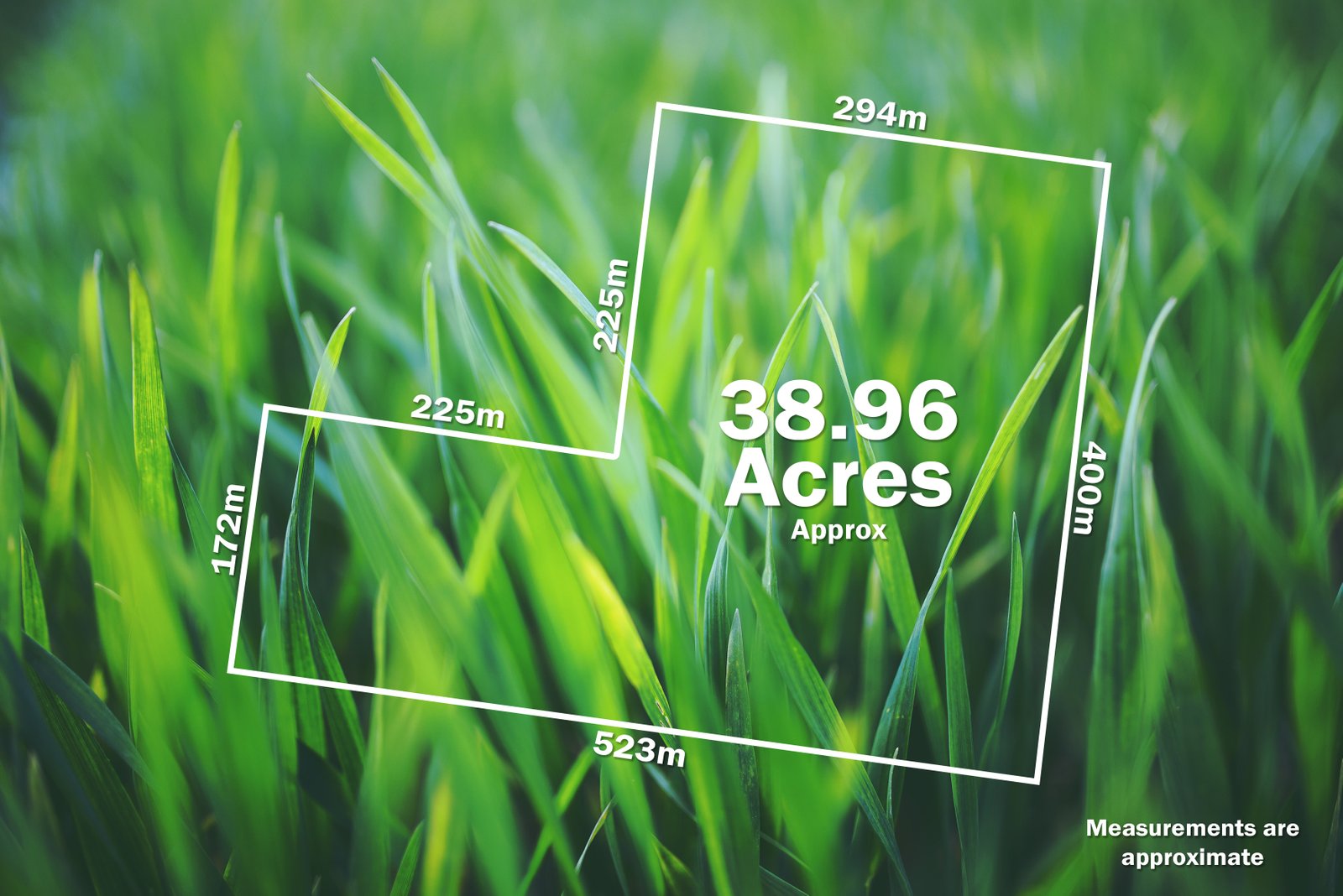 474 Racecourse Road HADDON 17