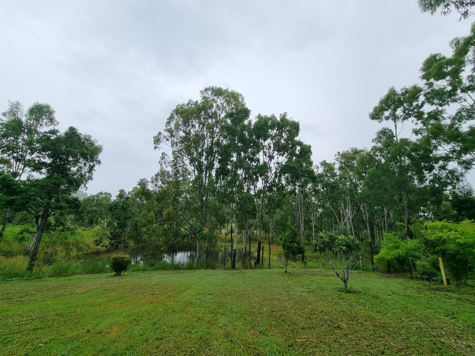 47457 BRUCE Highway IVERAGH 14