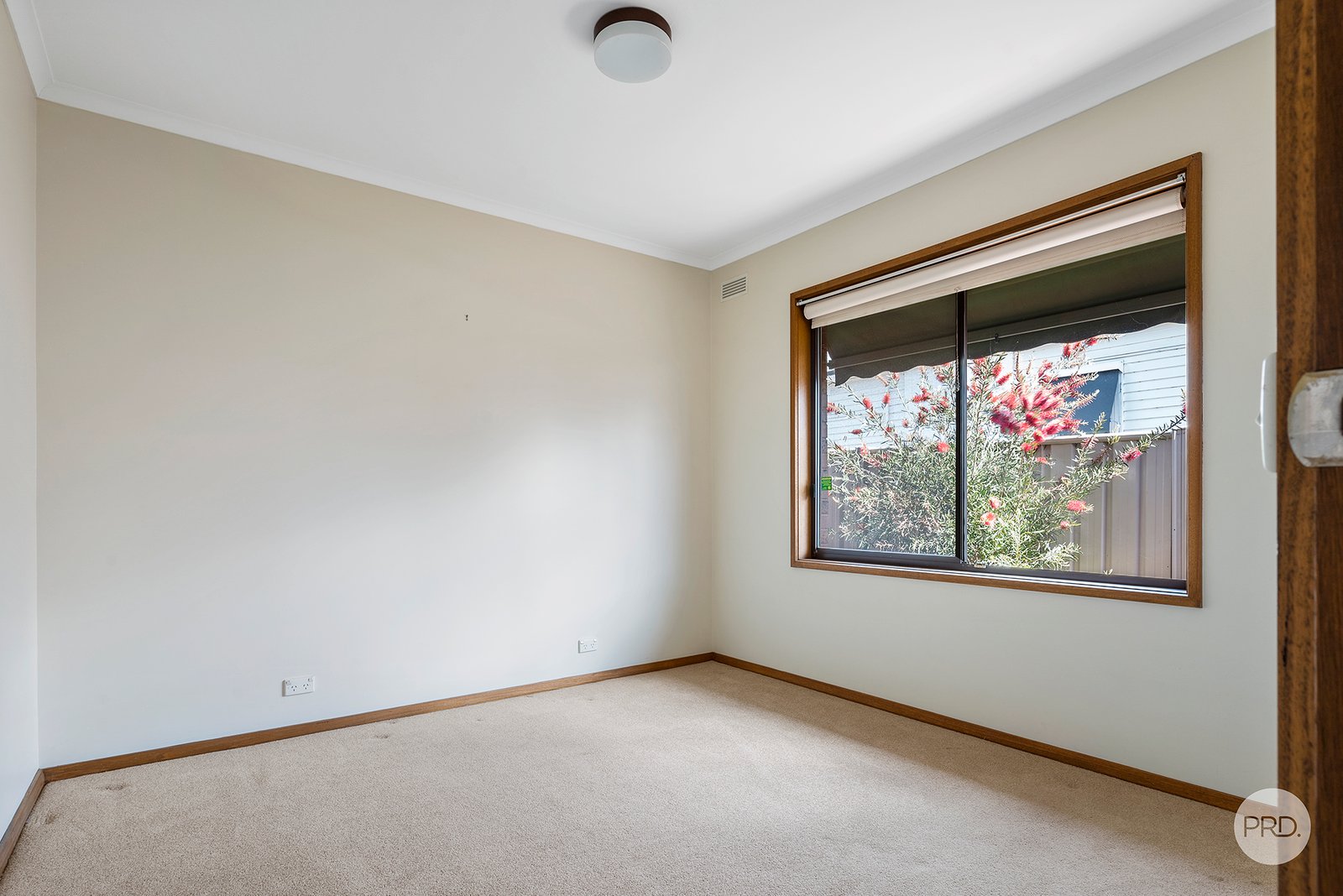 475 Napier Street WHITE HILLS 9