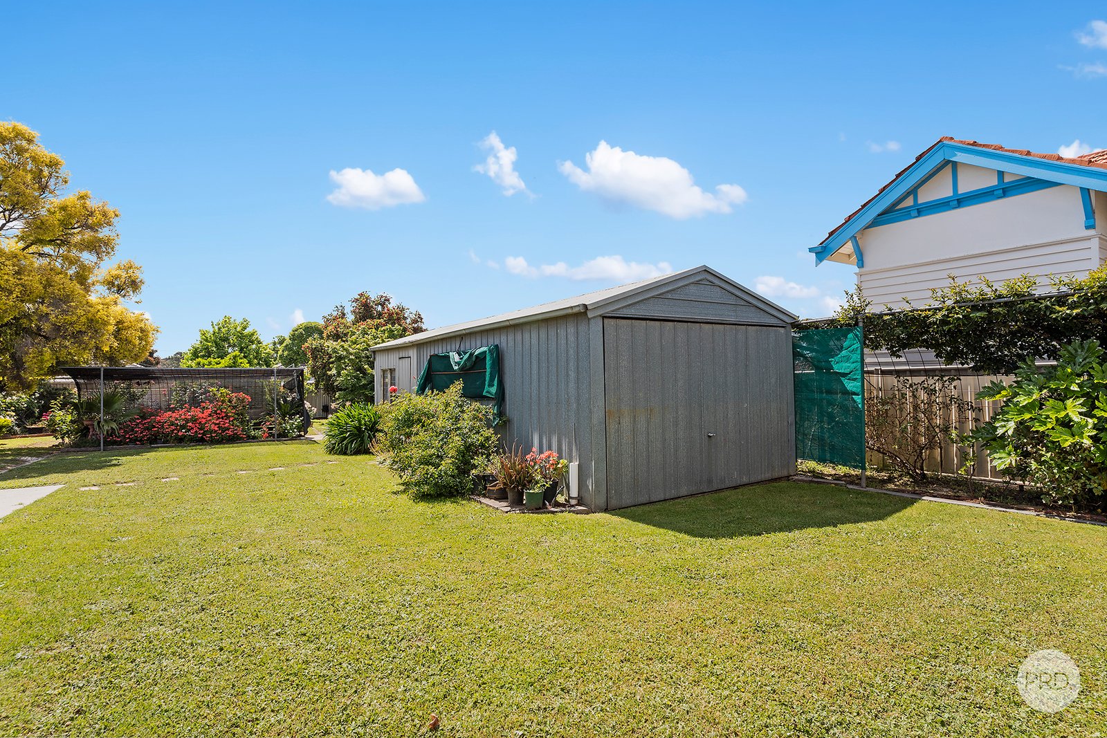475 Napier Street WHITE HILLS 12