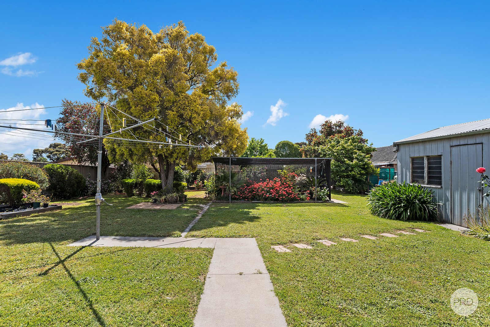 475 Napier Street WHITE HILLS 13