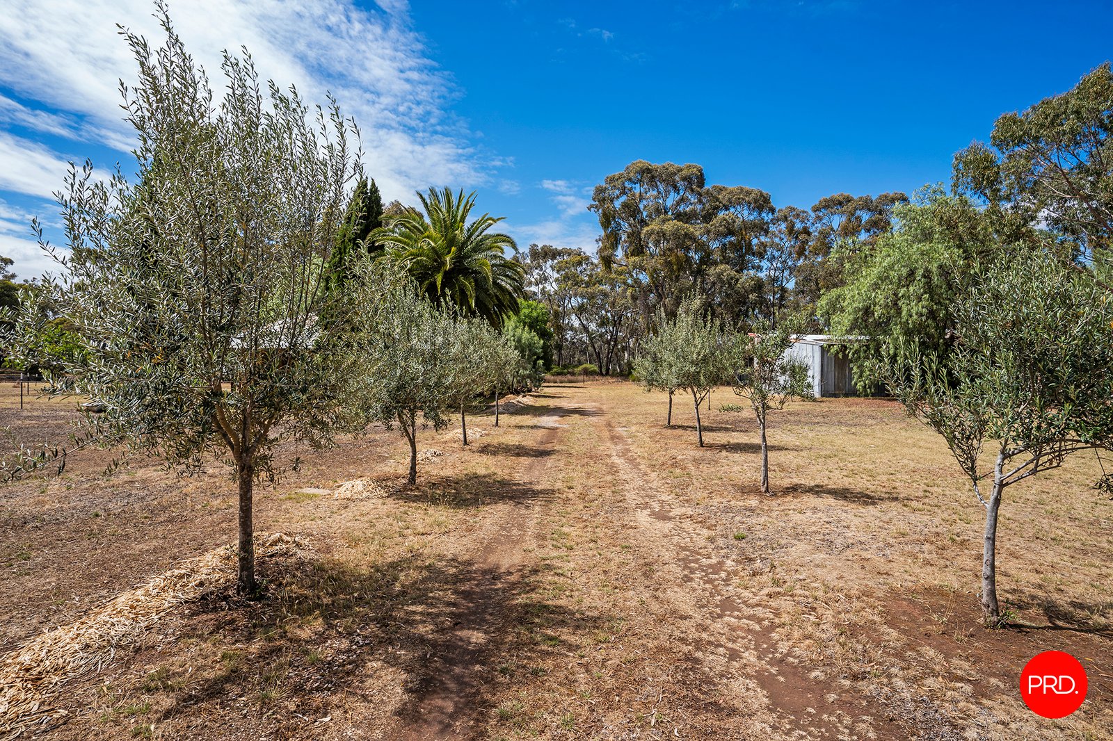 477 InglewoodRheola Road, INGLEWOOD VIC 3517