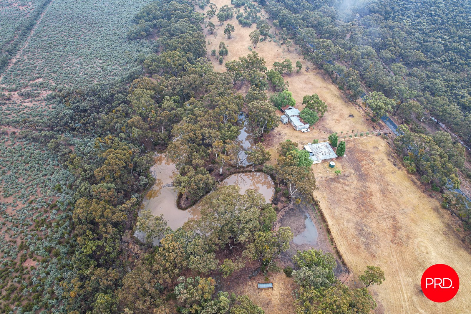 477 InglewoodRheola Road, INGLEWOOD VIC 3517