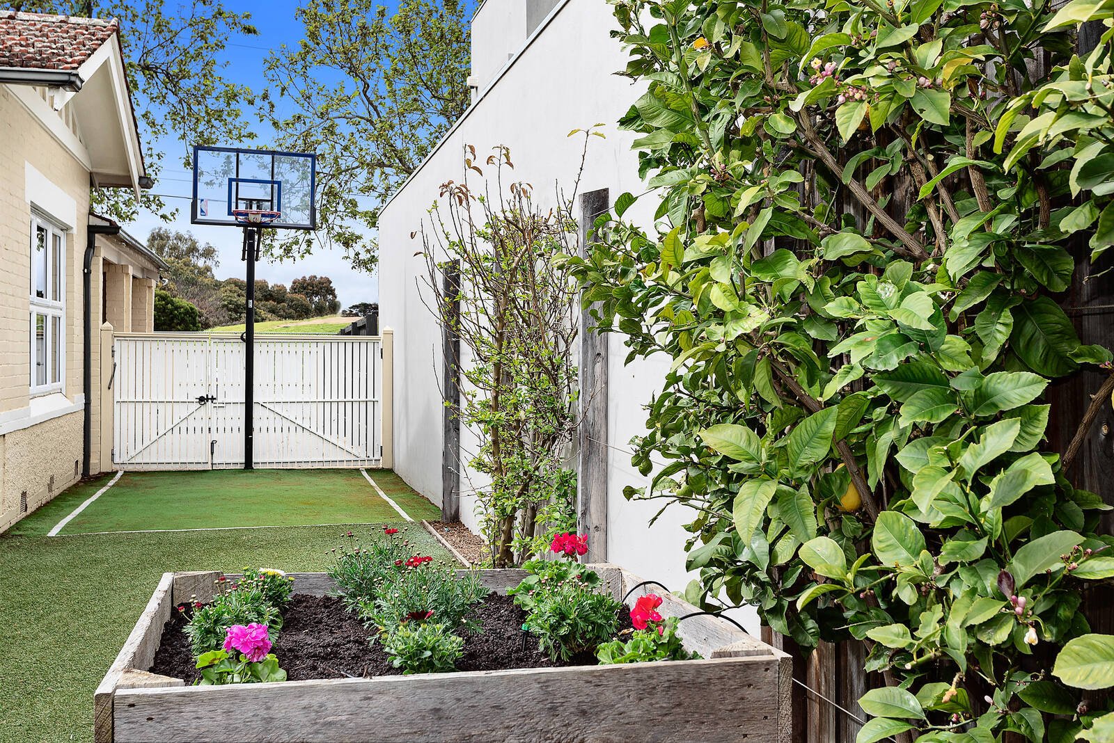 Real Estate and Property in 477 St Kilda Street, Elwood, VIC
