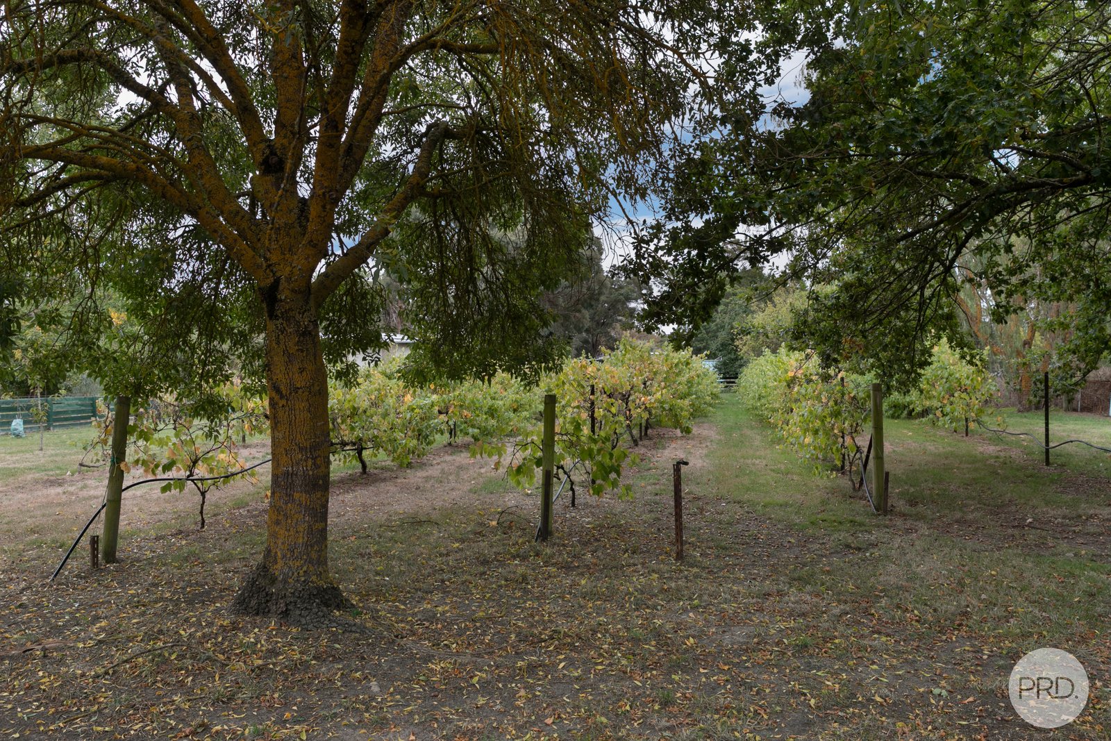 479 Bells Road SMYTHES CREEK 24