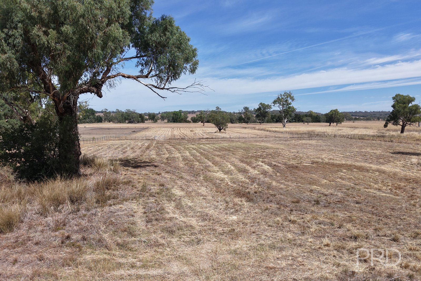 479 Spains Lane QUIRINDI 2