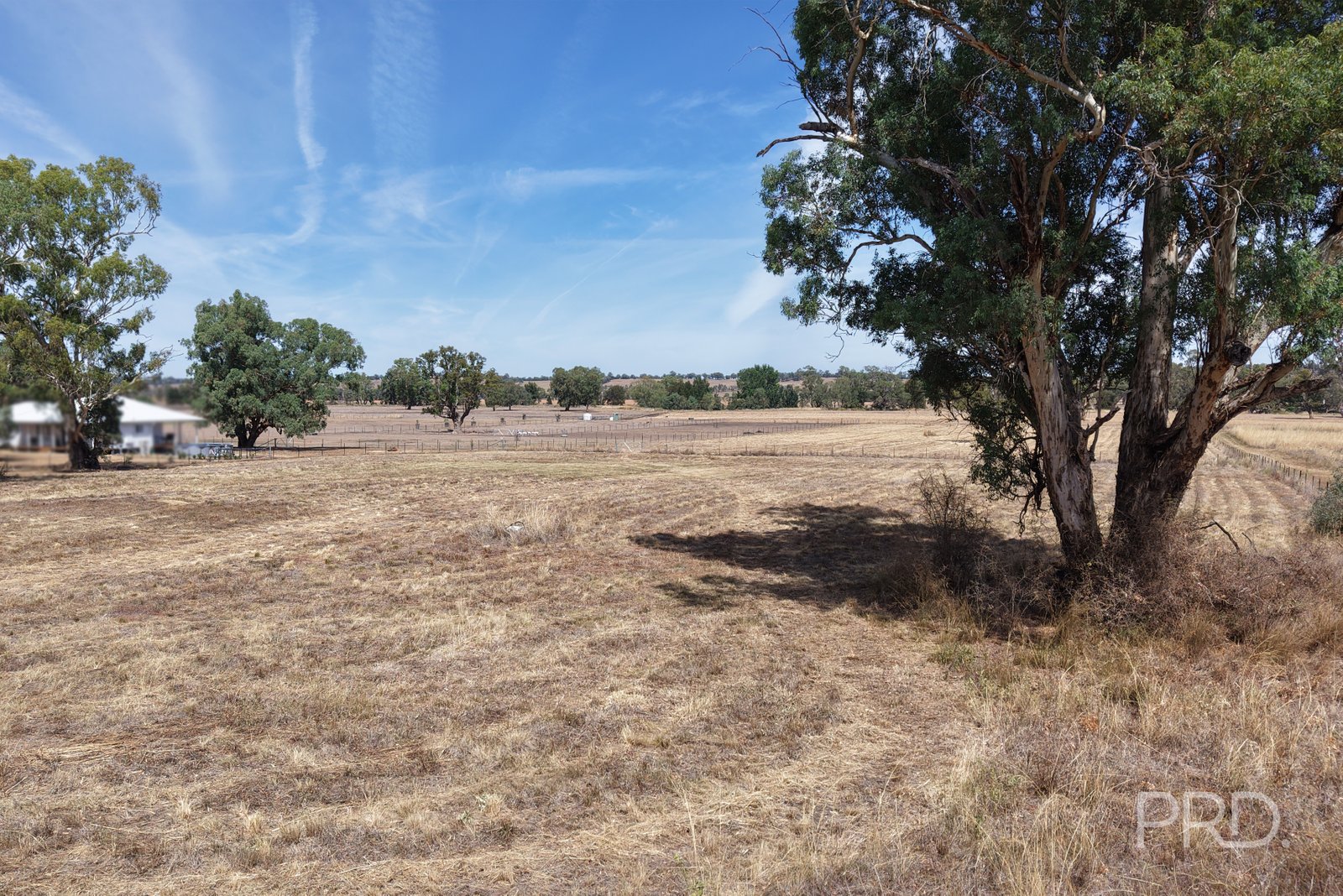 479 Spains Lane QUIRINDI 3