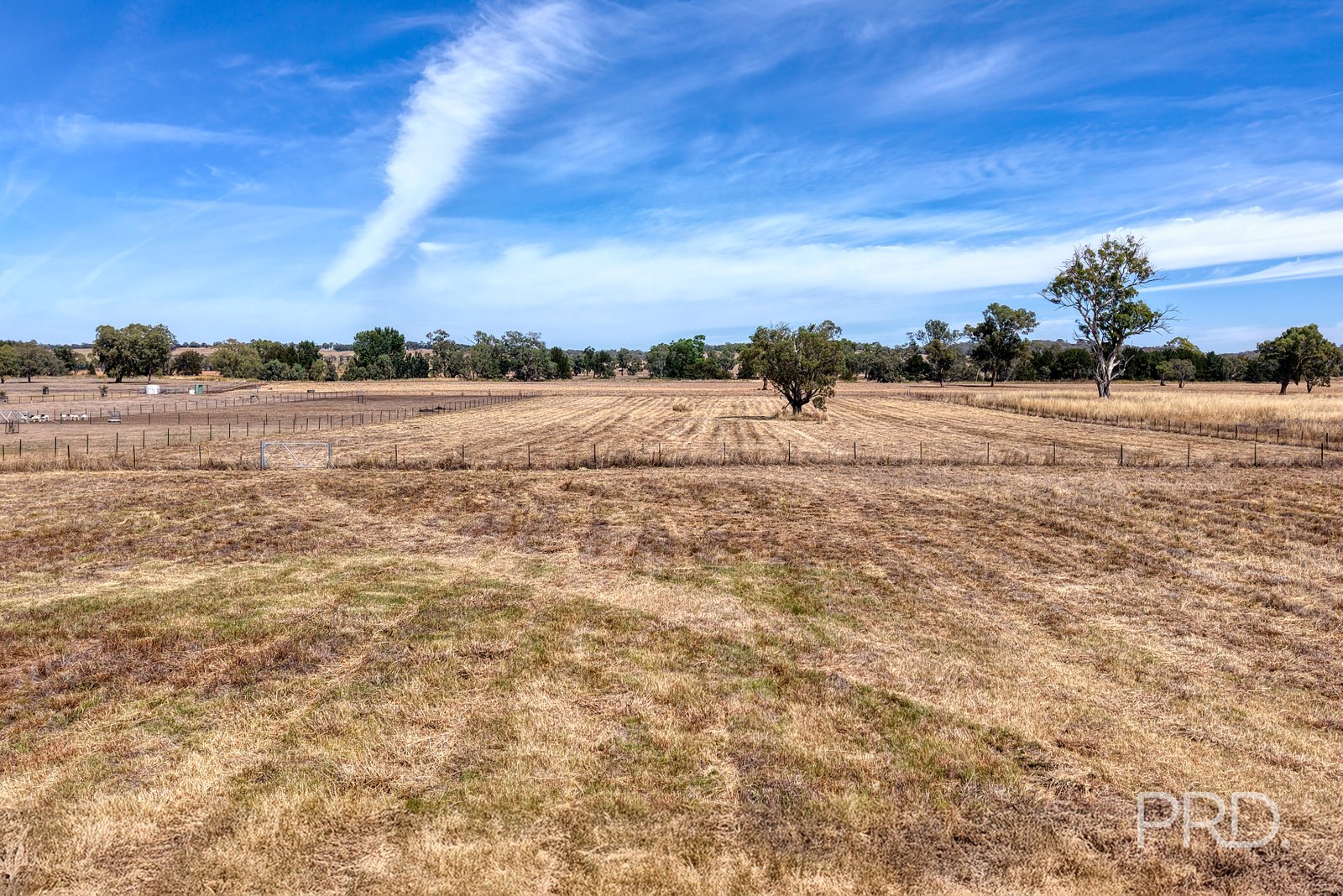 479 Spains Lane QUIRINDI 6