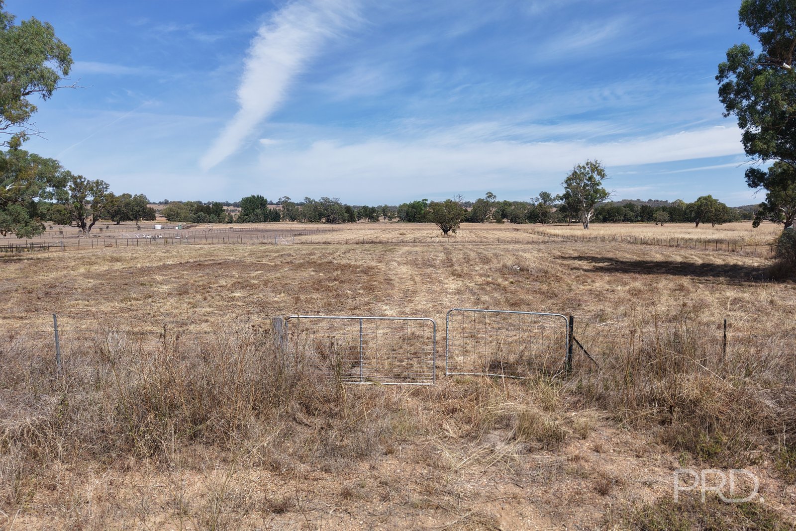 479 Spains Lane QUIRINDI 7