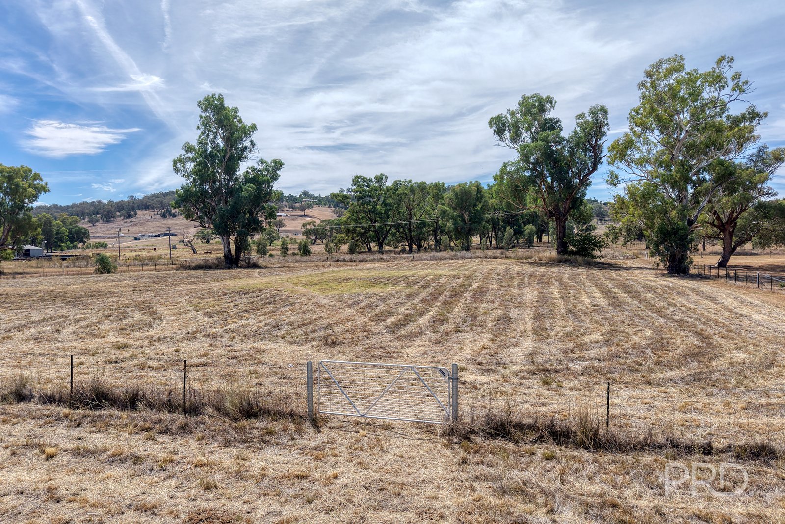 479 Spains Lane QUIRINDI 8