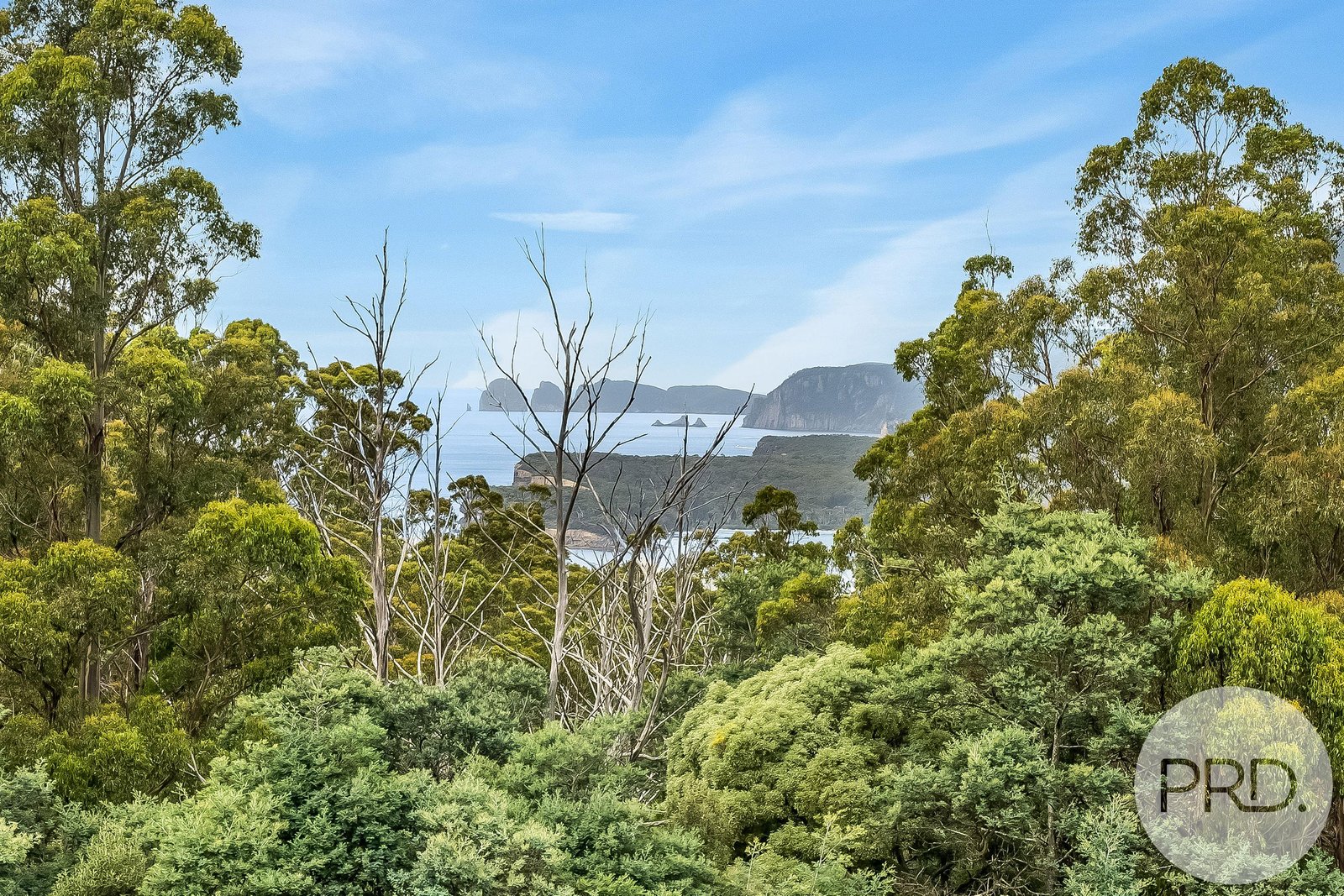 4796 Arthur Highway EAGLEHAWK NECK 1