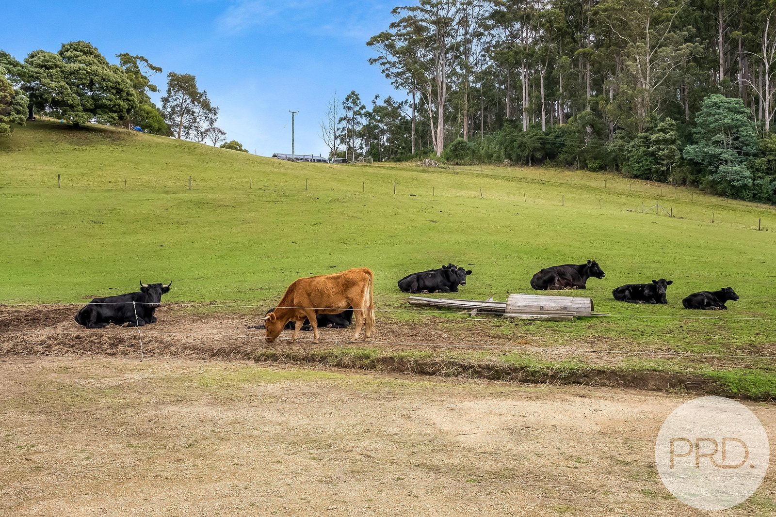 4796 Arthur Highway EAGLEHAWK NECK 21