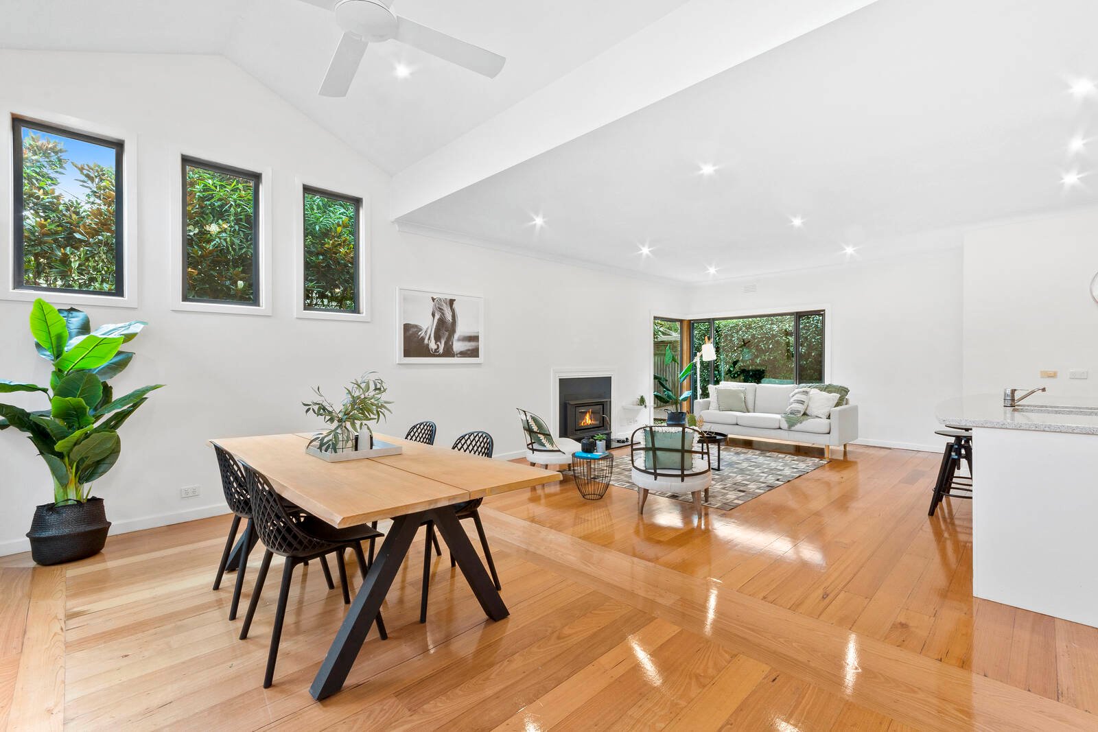 Gallery: 48 Clarke Avenue
