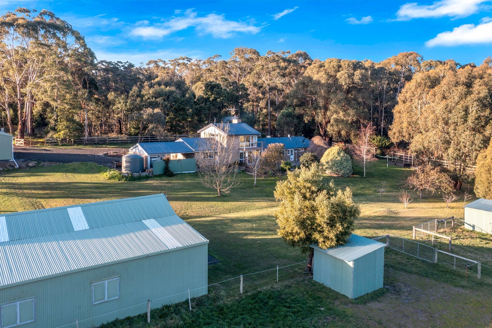 Real Estate and Property in 48 Dohoney Road, Bullengarook, VIC