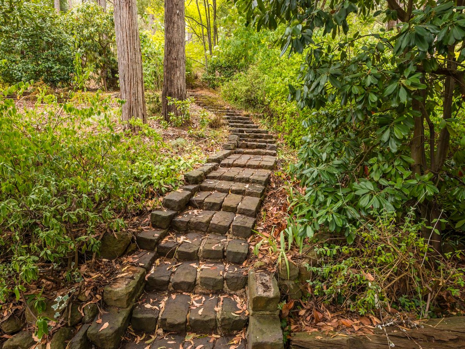 Real Estate and Property in 48 Glen Echo Court, Mount Macedon, VIC