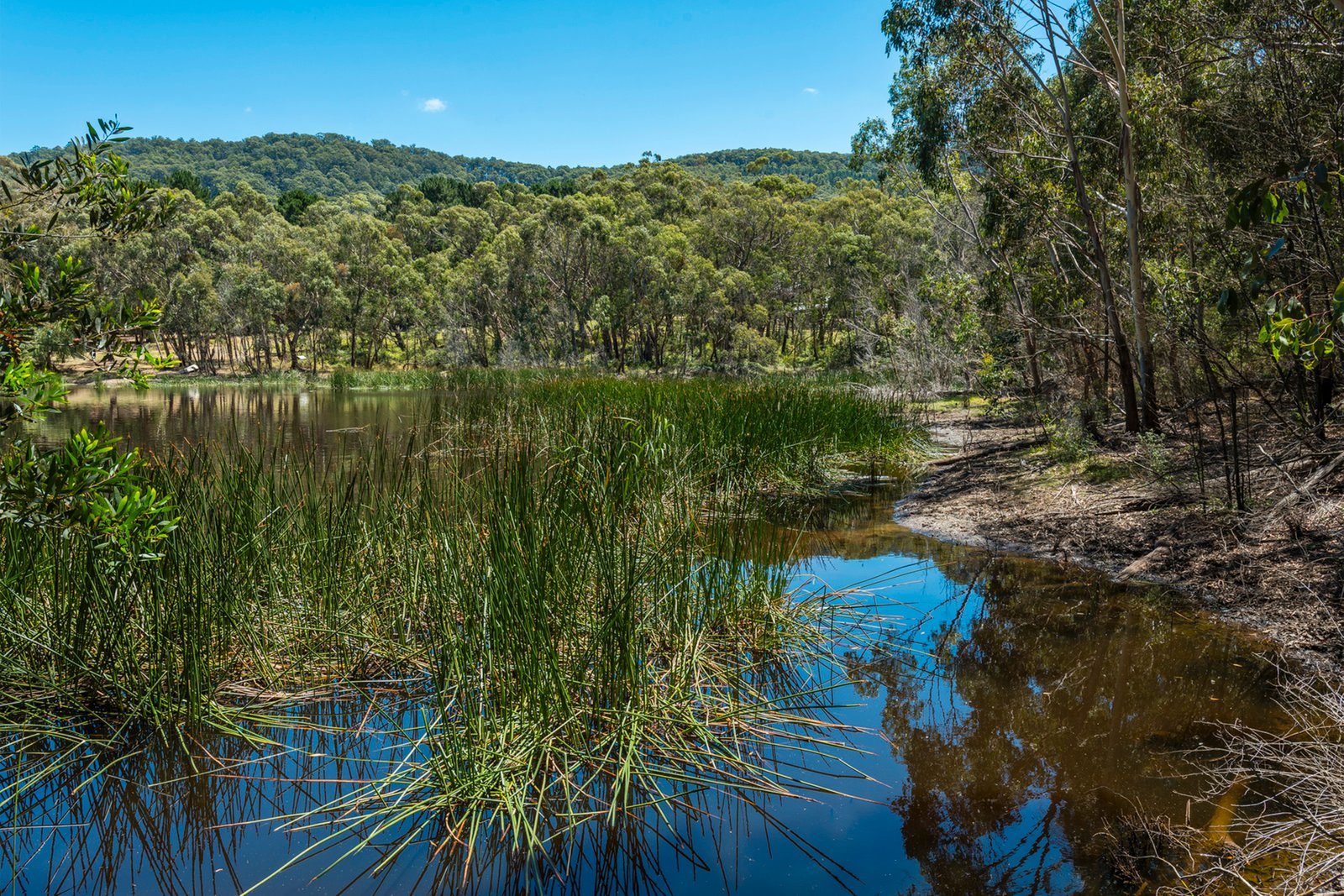 Real Estate and Property in 48 Glen Echo Court, Mount Macedon, VIC