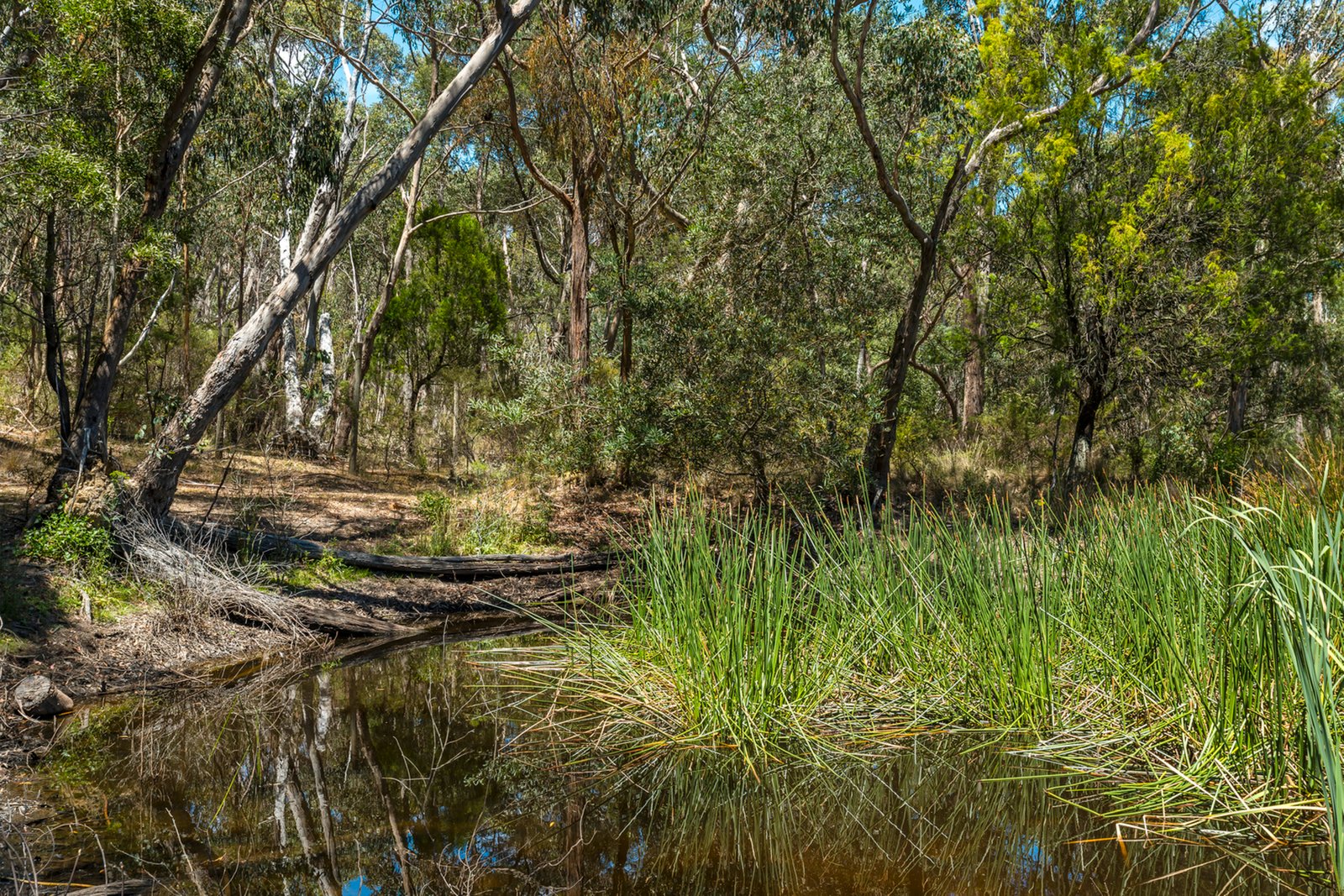 Real Estate and Property in 48 Glen Echo Court, Mount Macedon, VIC