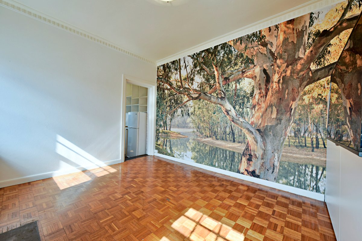 Gallery: 4/8 Henry Street