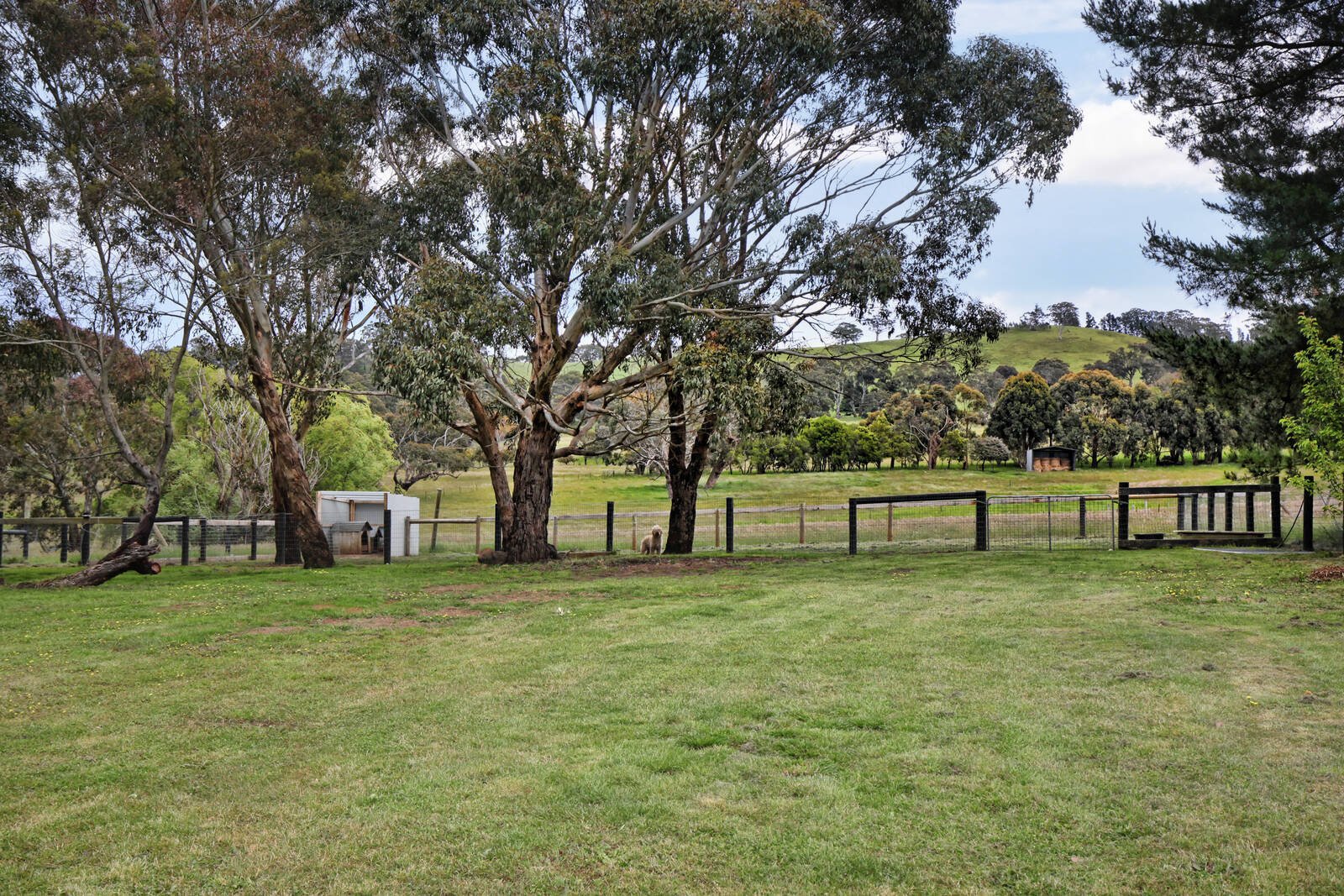 Real Estate and Property in 48 Hirsts Lane, Goldie, VIC