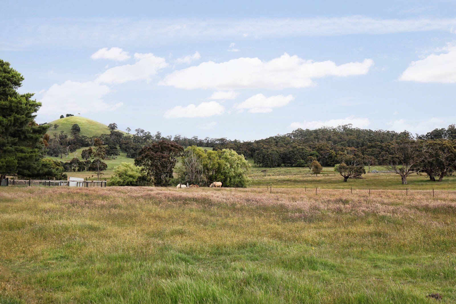 Real Estate and Property in 48 Hirsts Lane, Goldie, VIC