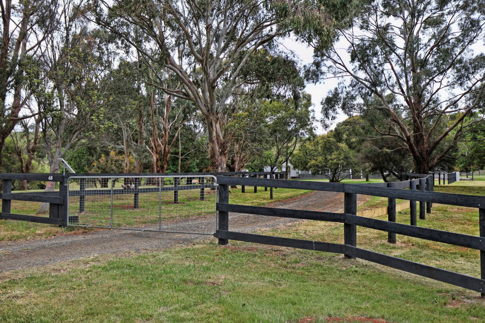 Real Estate and Property in 48 Hirsts Lane, Goldie, VIC