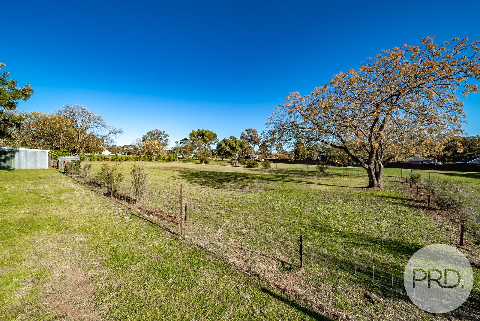 48 Iverach Street COOLAMON 21