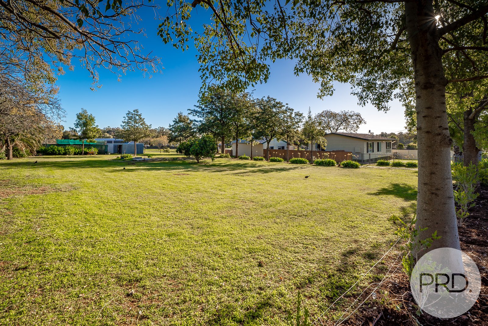 48 Iverach Street COOLAMON 24