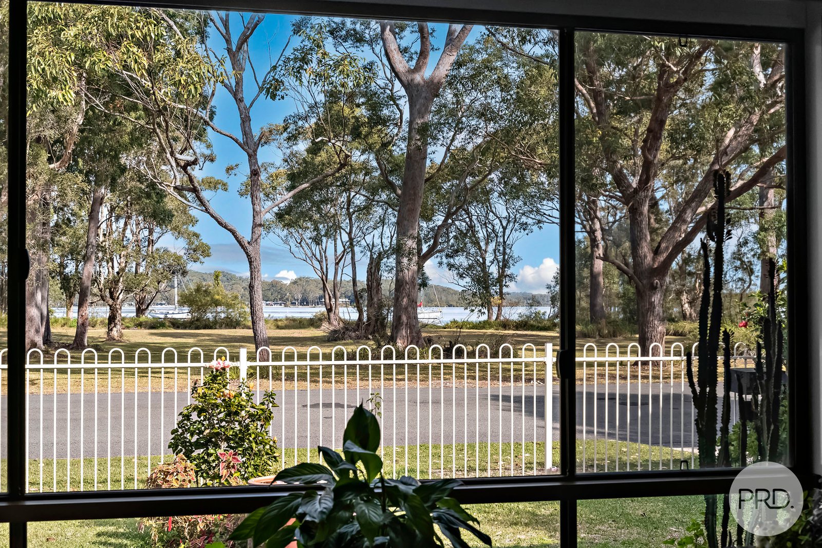 48 John Parade LEMON TREE PASSAGE 2