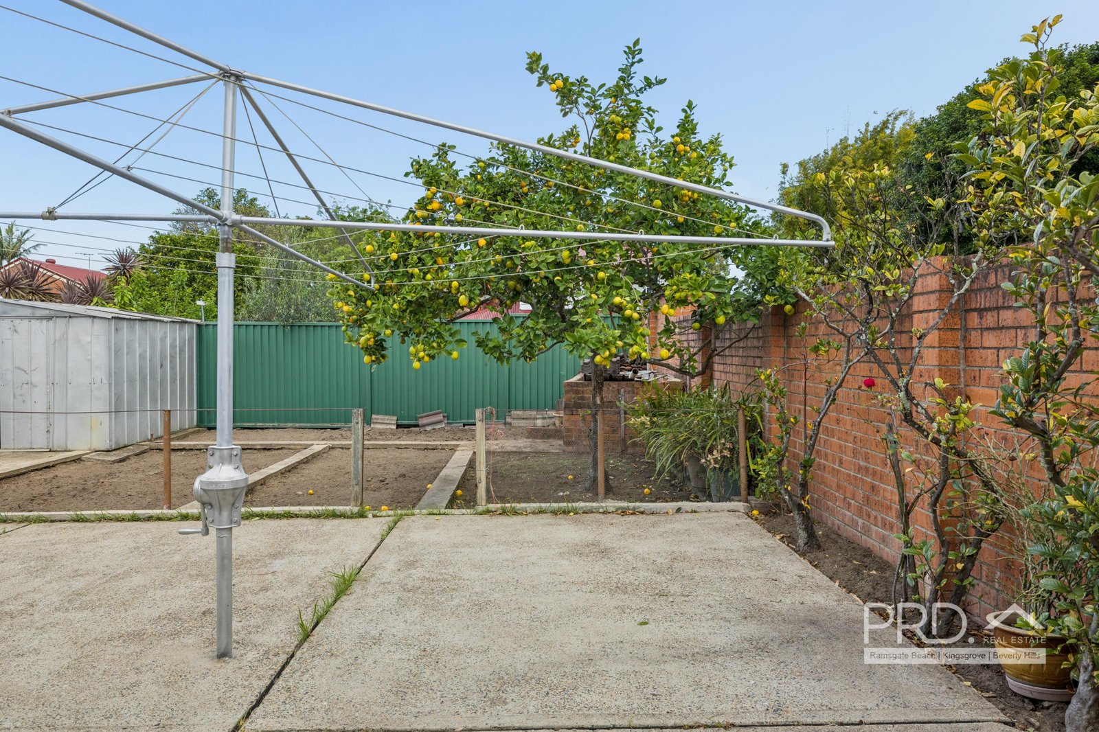 48 Kilbride Street HURLSTONE PARK 13