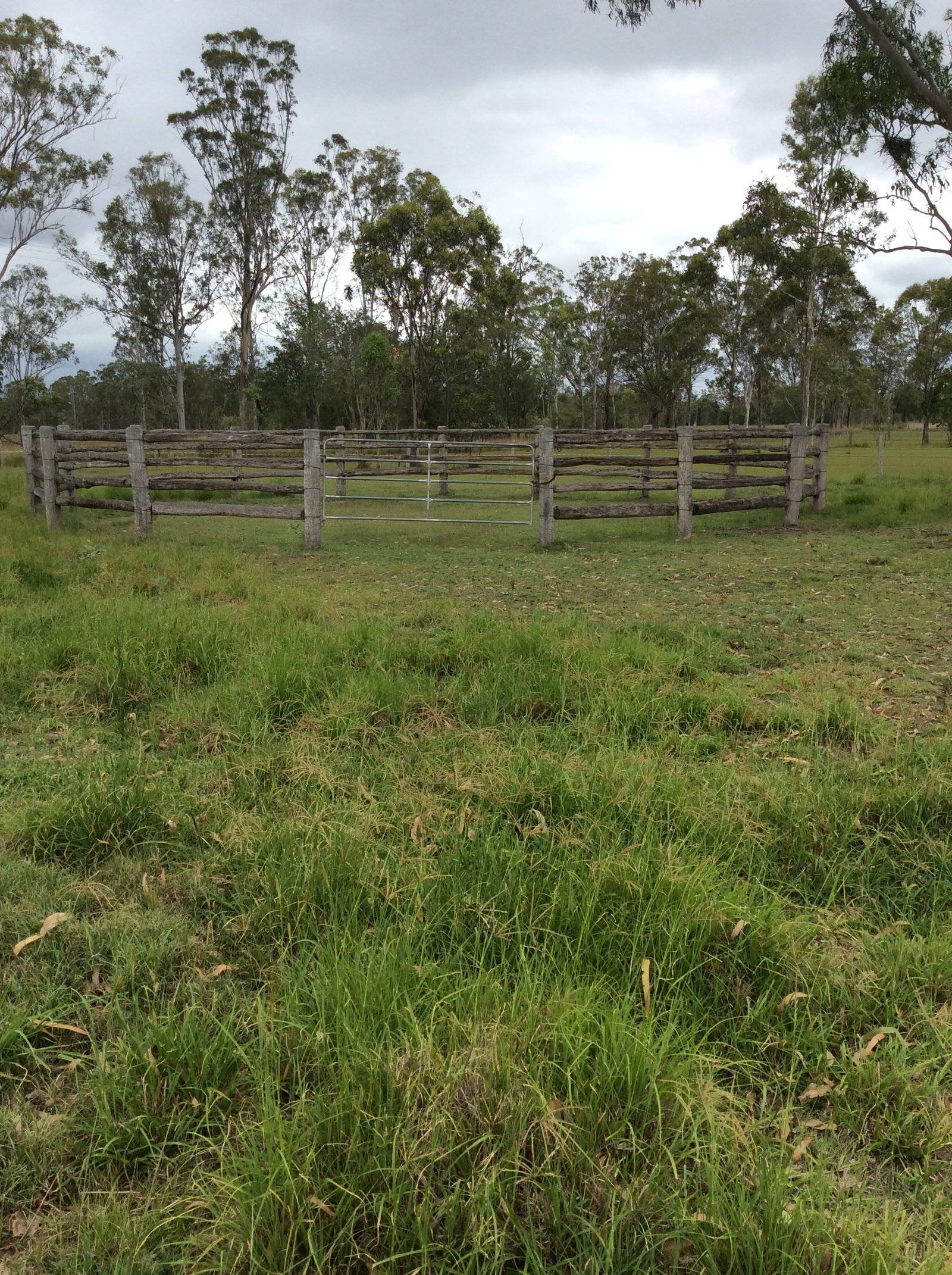 48 KOORAWATHA Drive BOROREN 19