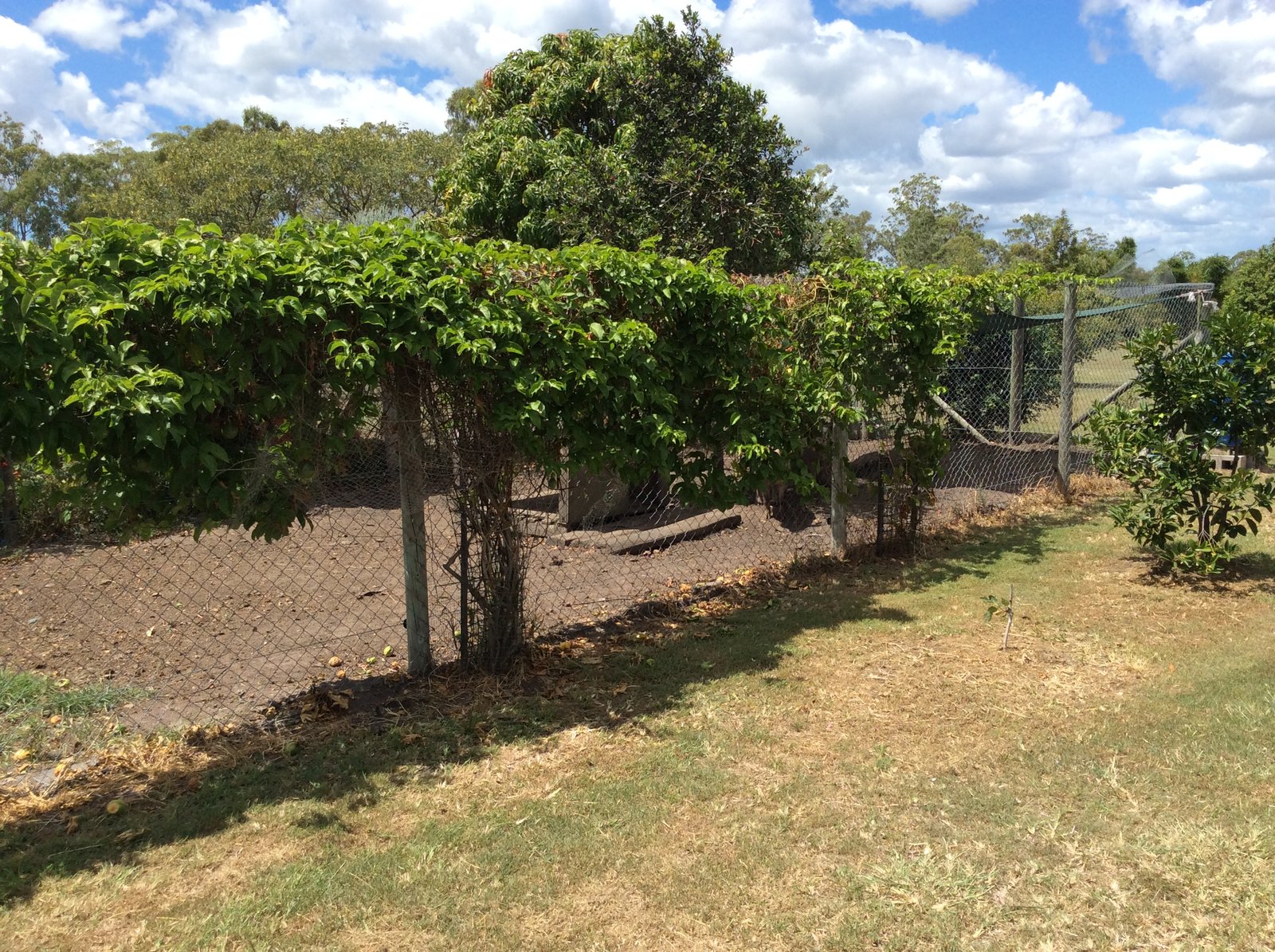 48 KOORAWATHA Drive BOROREN 24