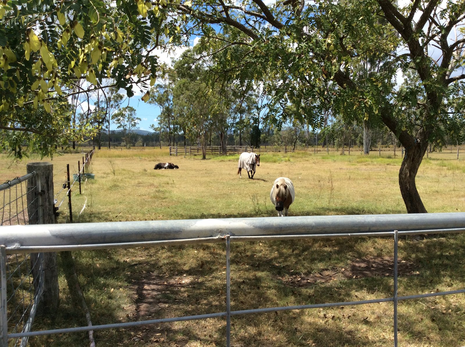 48 KOORAWATHA Drive BOROREN 25