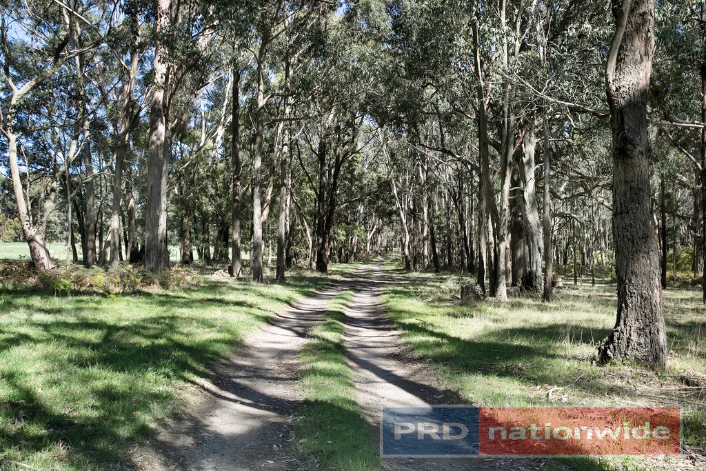 48 Leonard Lane BUNINYONG 16