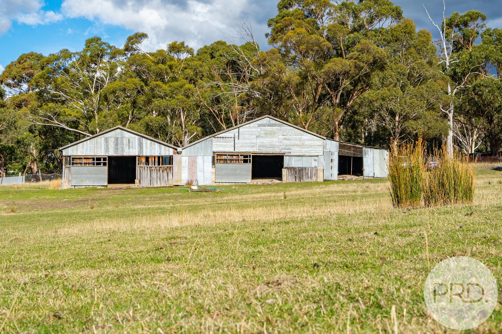 48 Russell Road CLAREMONT 16