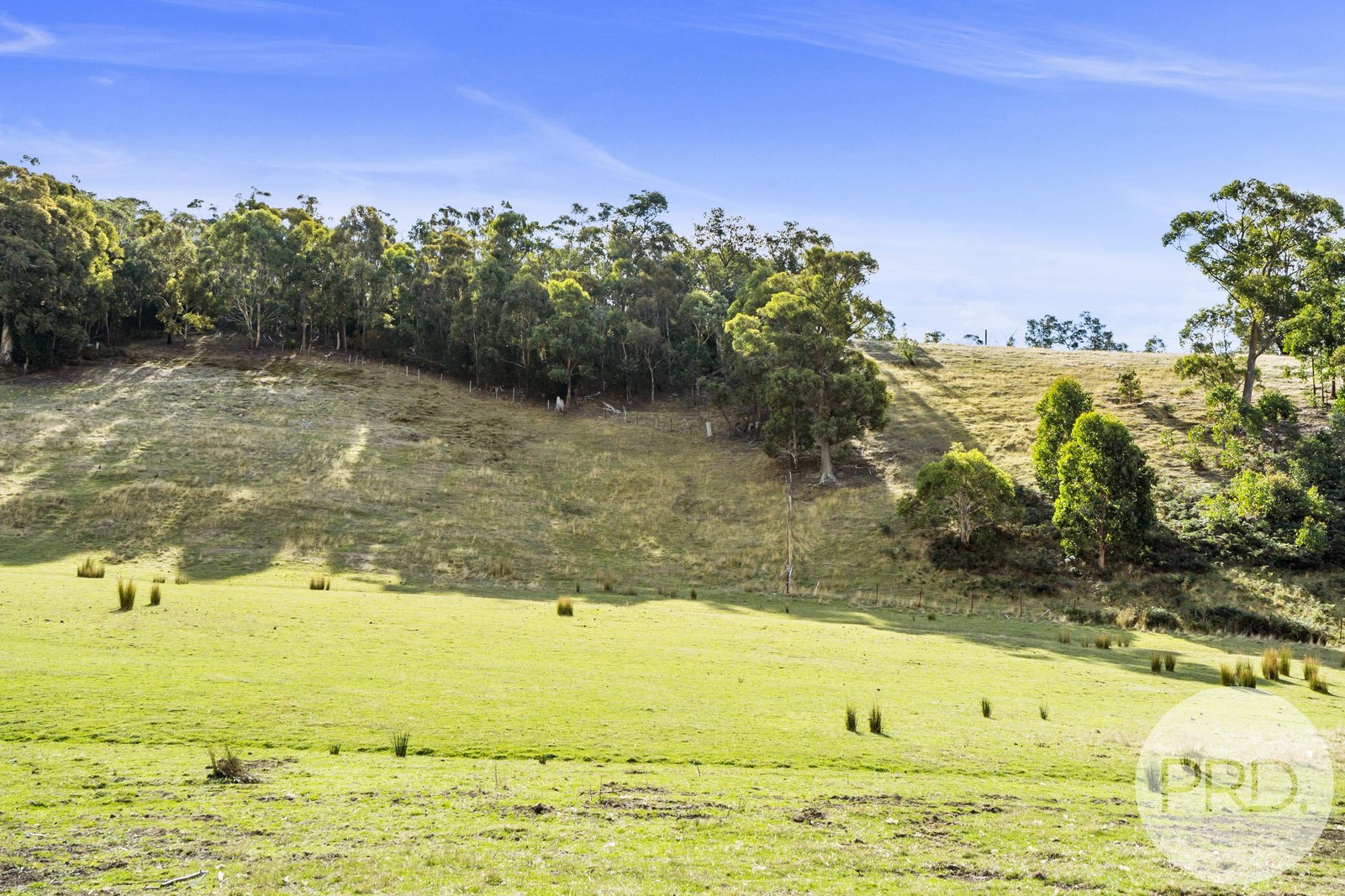 48 Russell Road CLAREMONT 19