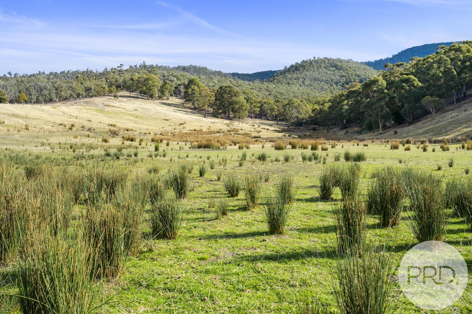 48 Russell Road CLAREMONT 20