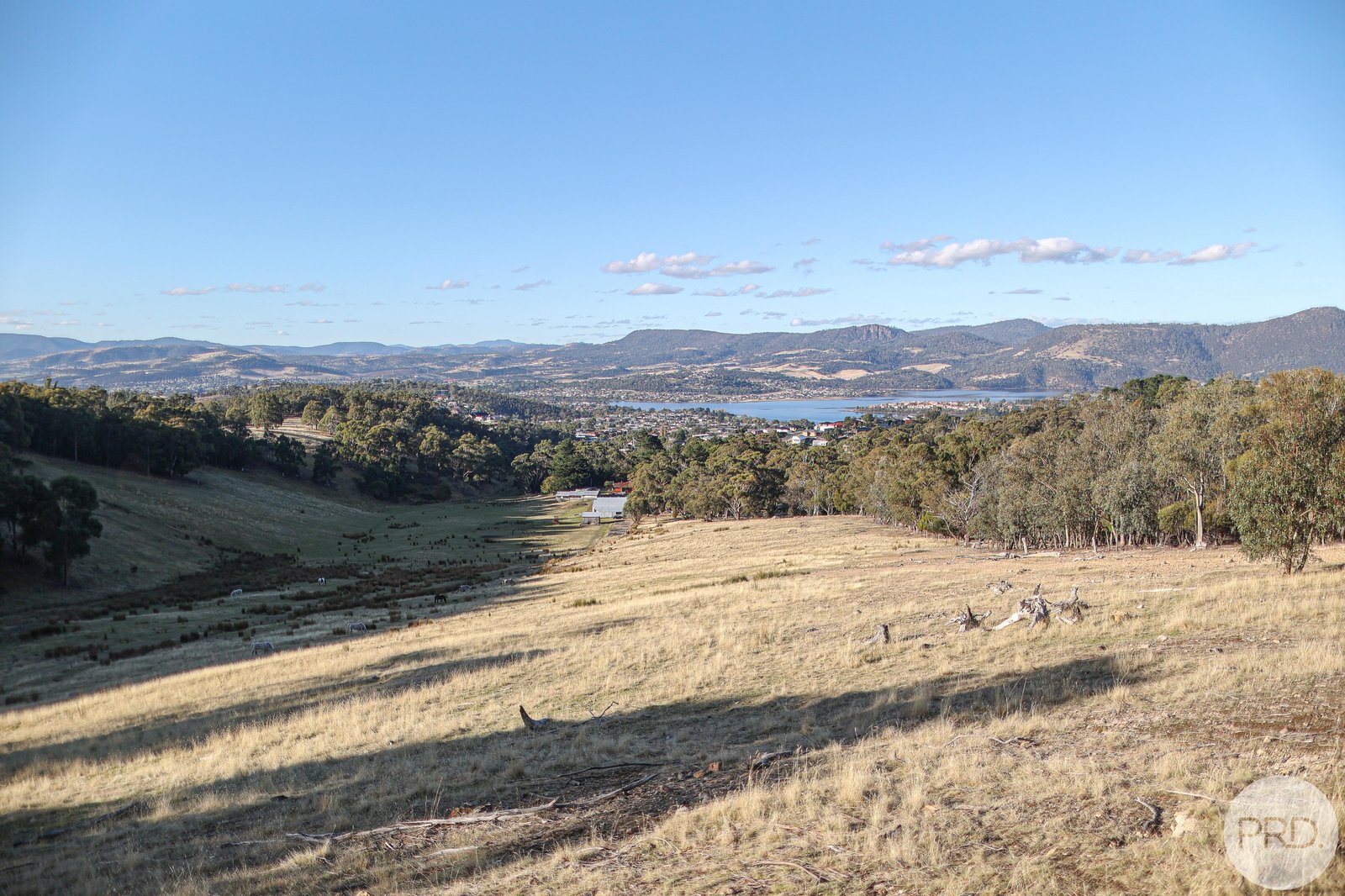 48 Russell Road CLAREMONT 24