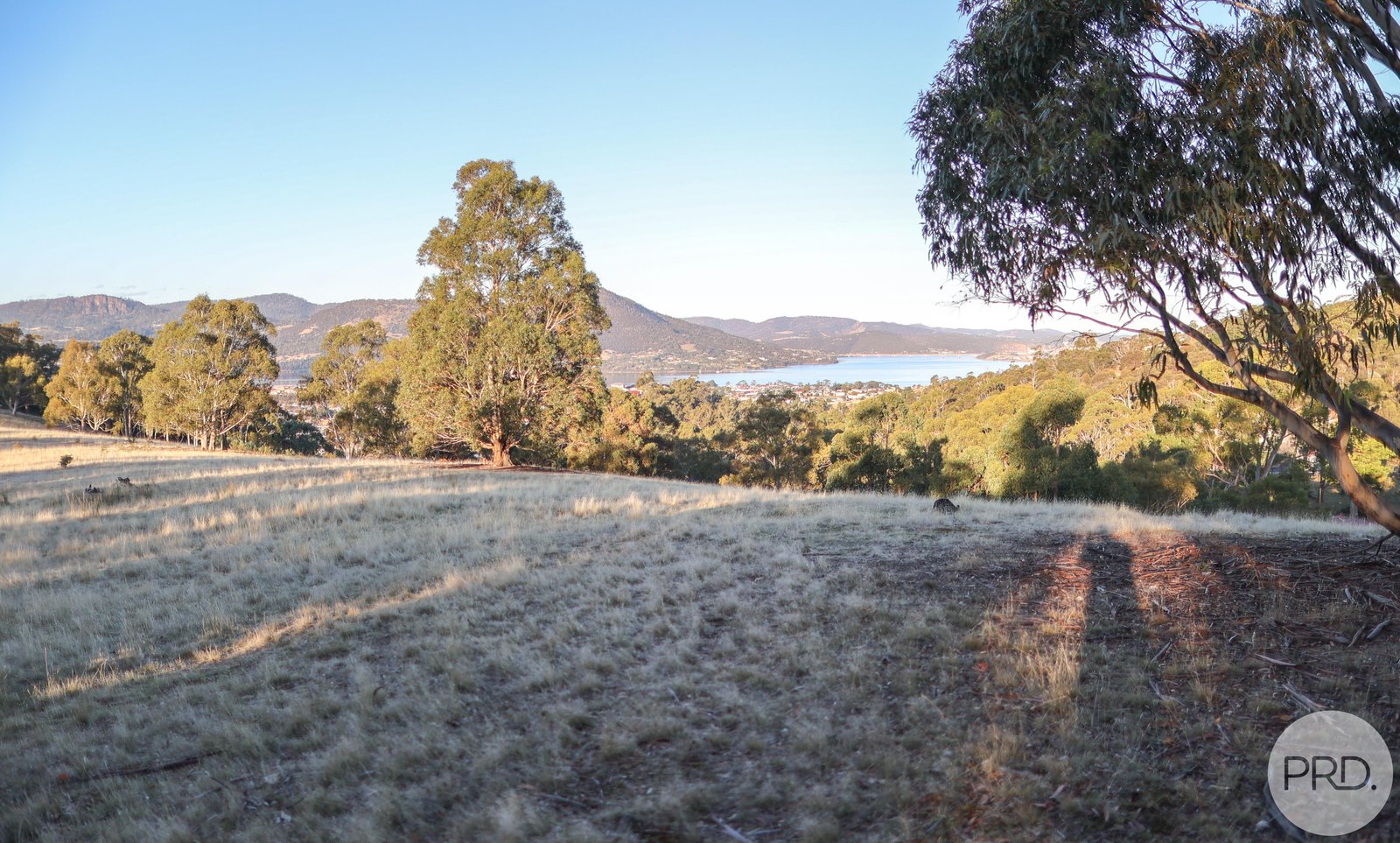 48 Russell Road CLAREMONT 25