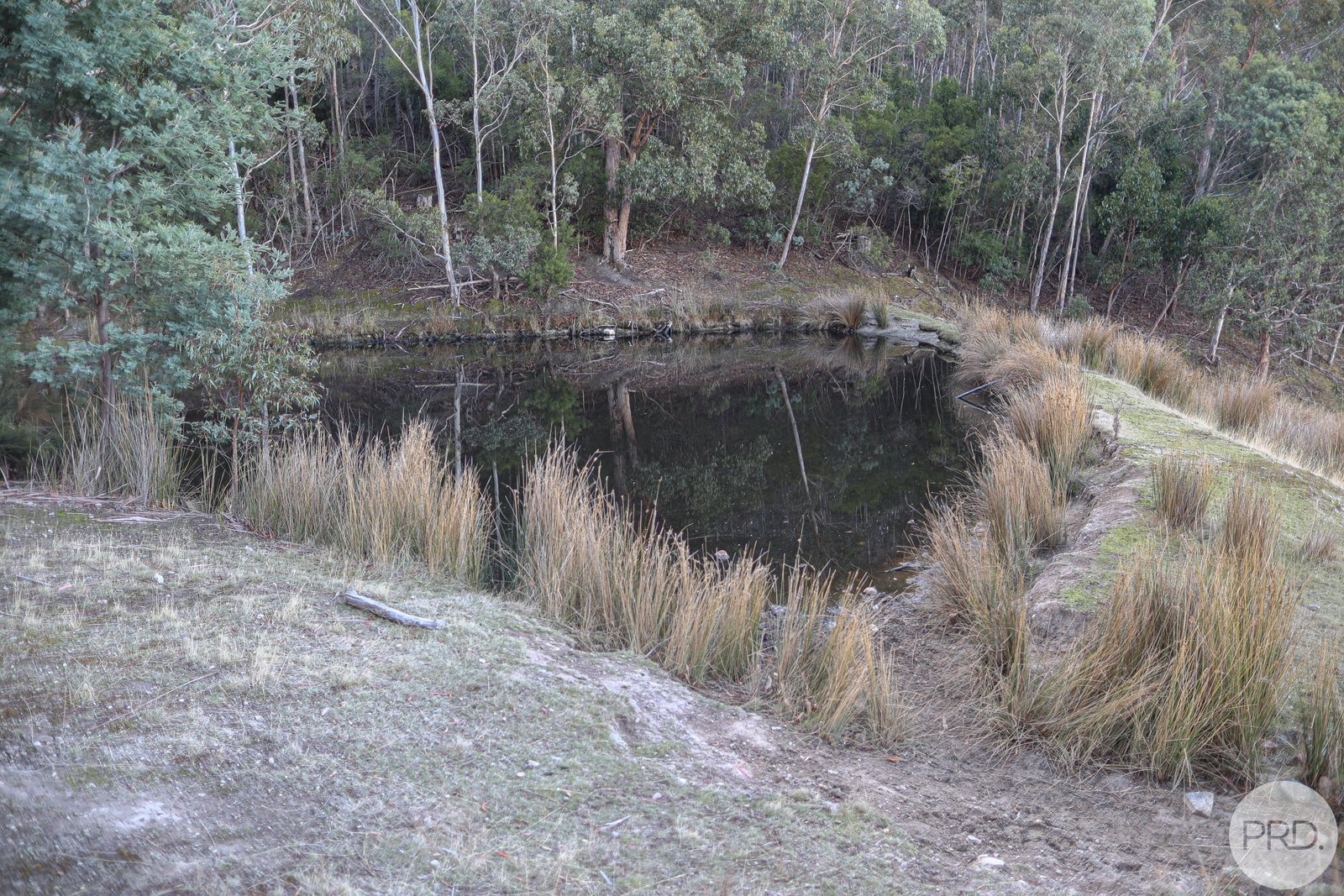 48 Russell Road CLAREMONT 31